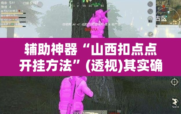 辅助神器“山西扣点点开挂方法”(透视)其实确实有挂