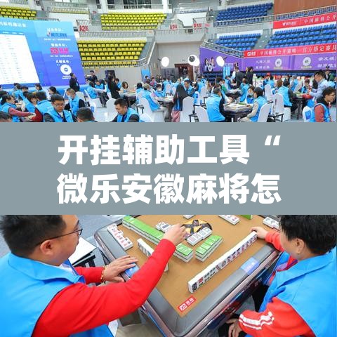 开挂辅助工具“微乐安徽麻将怎样免费开挂	”(透视挂)辅助透视教程