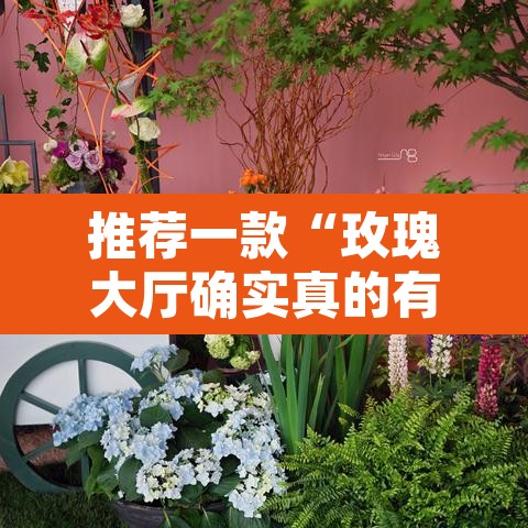 推荐一款“玫瑰大厅确实真的有挂”其实确实有挂