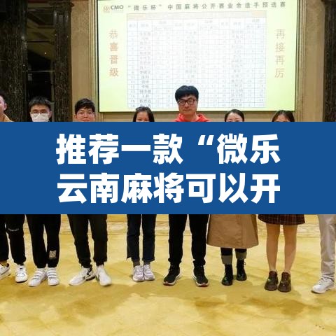 推荐一款“微乐云南麻将可以开挂吗	”(透视挂)辅助透视教程