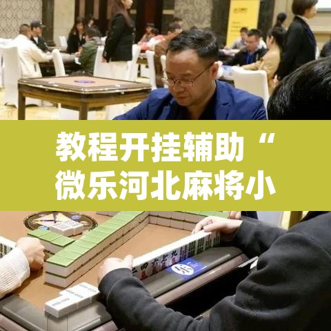 教程开挂辅助“微乐河北麻将小程序万能挂免费版”(透视)其实确实有挂
