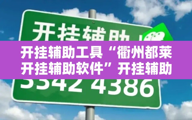 开挂辅助工具“衢州都莱开挂辅助软件”开挂辅助脚本+详细开挂安装教程