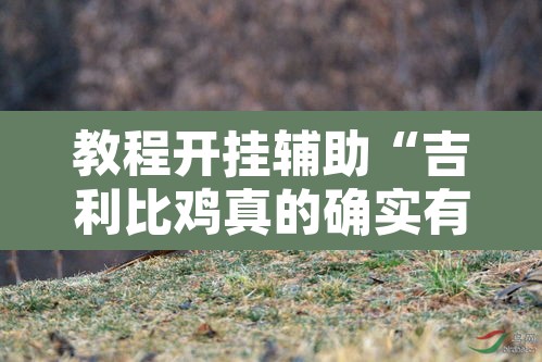 教程开挂辅助“吉利比鸡真的确实有挂”其实确实有挂