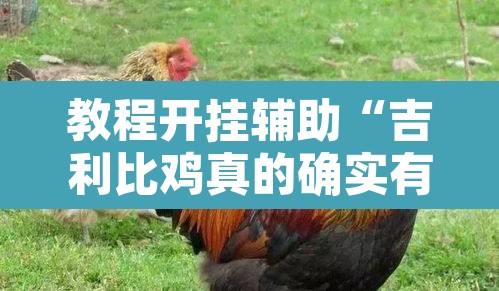 教程开挂辅助“吉利比鸡真的确实有挂	”其实确实有挂