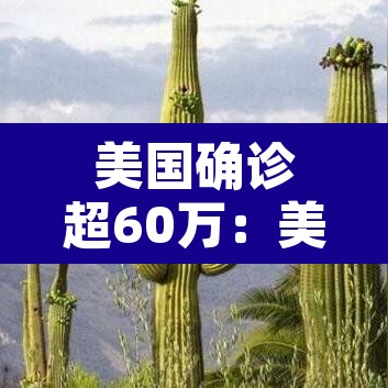 美国确诊超60万：美国确诊超1619万
