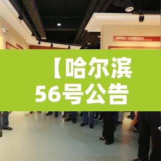 【哈尔滨56号公告·哈尔滨50号公告】