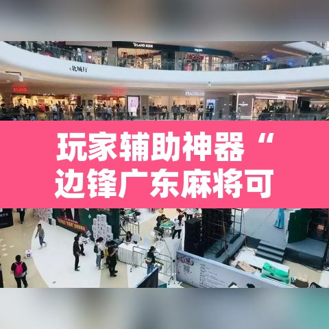 玩家辅助神器“边锋广东麻将可不可以开挂”开挂辅助脚本+详细开挂安装教程