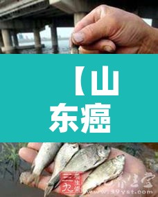 【山东癌症村·山东癌症高发县市排行】