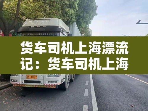 货车司机上海漂流记：货车司机上海漂流记数土豆等回家