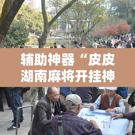 辅助神器“皮皮湖南麻将开挂神器	”(透视)其实确实有挂