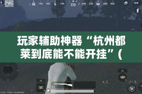 玩家辅助神器“杭州都莱到底能不能开挂”(透视)其实确实有挂