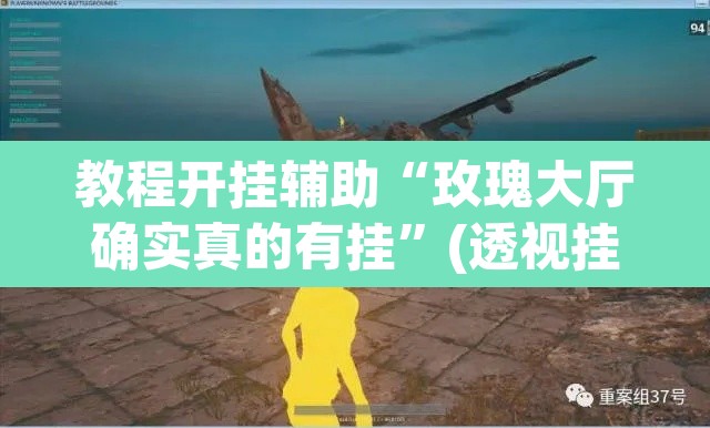 教程开挂辅助“玫瑰大厅确实真的有挂”(透视挂)辅助透视教程