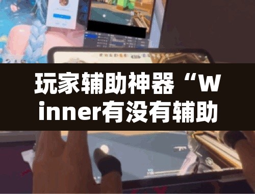 玩家辅助神器“Winner有没有辅助	”(透视)其实确实有挂