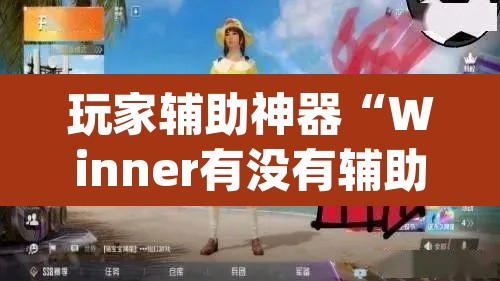 玩家辅助神器“Winner有没有辅助”(透视)其实确实有挂