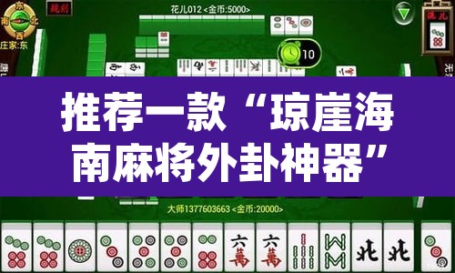 推荐一款“琼崖海南麻将外卦神器”(透视挂)辅助透视教程