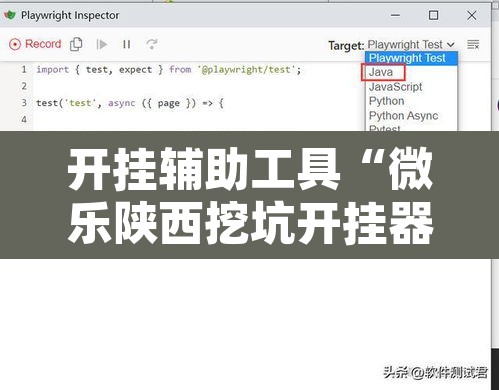 开挂辅助工具“微乐陕西挖坑开挂器	”附辅助神器开挂脚本详细步骤