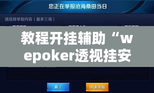 教程开挂辅助“wepoker透视挂安装”开挂辅助脚本+详细开挂安装教程