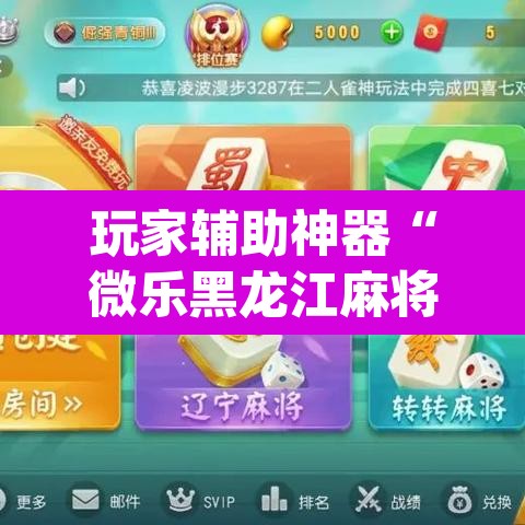 玩家辅助神器“微乐黑龙江麻将宝规律是什么”(透视挂)辅助透视教程