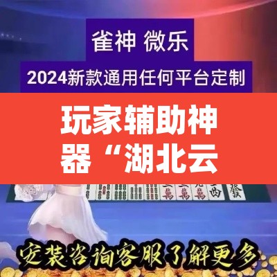 玩家辅助神器“湖北云雀麻将其实是可以开挂”(透视)其实确实有挂