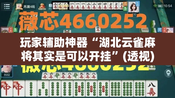 玩家辅助神器“湖北云雀麻将其实是可以开挂”(透视)其实确实有挂