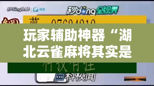 玩家辅助神器“湖北云雀麻将其实是可以开挂	”(透视)其实确实有挂