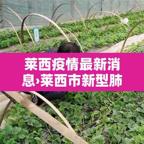 莱西疫情最新消息›莱西市新型肺炎疫情
