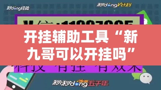 开挂辅助工具“新九哥可以开挂吗”(透视)其实确实有挂