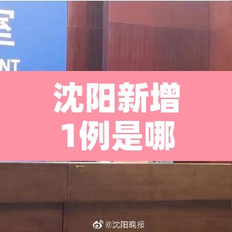 沈阳新增1例是哪的—（沈阳新增一例是哪个区的）