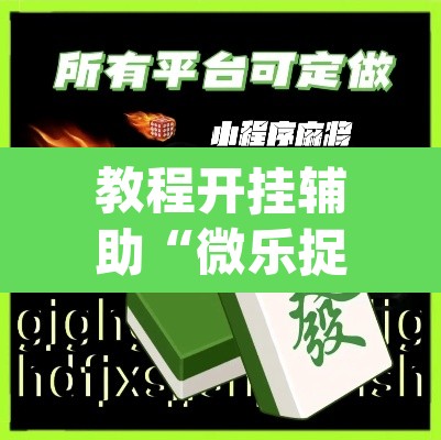 教程开挂辅助“微乐捉鸡麻将万能开挂器”(透视)其实确实有挂