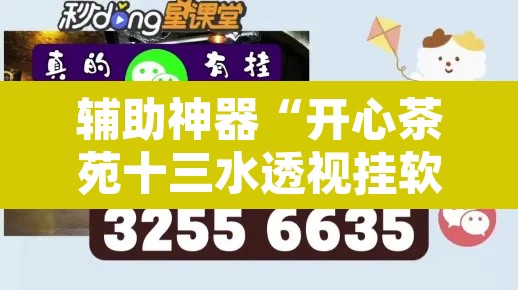辅助神器“开心茶苑十三水透视挂软件”附辅助神器开挂脚本详细步骤