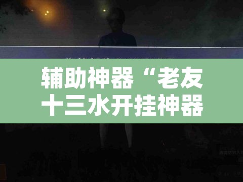 辅助神器“老友十三水开挂神器”其实确实有挂
