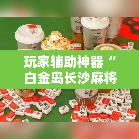玩家辅助神器“白金岛长沙麻将开挂app下载”附辅助神器开挂脚本详细步骤