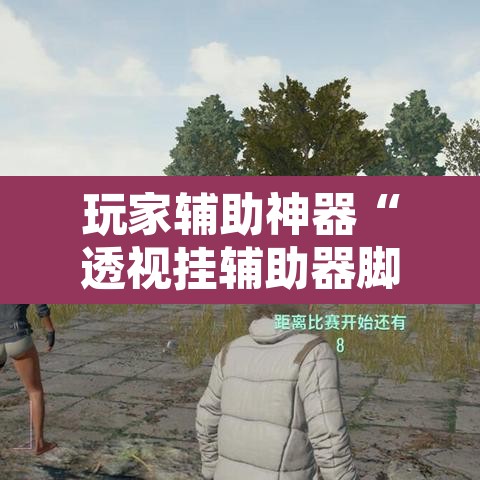 玩家辅助神器“透视挂辅助器脚本	”开挂辅助脚本+详细开挂安装教程