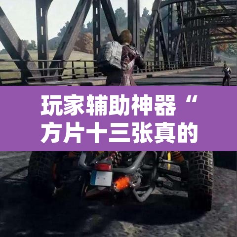 玩家辅助神器“方片十三张真的有透视挂吗”(透视)其实确实有挂