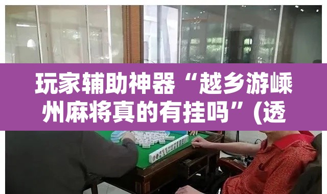 玩家辅助神器“越乡游嵊州麻将真的有挂吗	”(透视)其实确实有挂