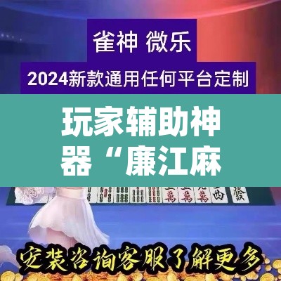 玩家辅助神器“廉江麻将可以作弊吗”(透视挂)辅助透视教程