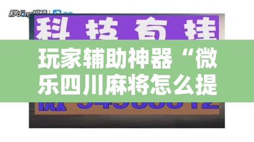 玩家辅助神器“微乐四川麻将怎么提高胜率	”其实确实有挂