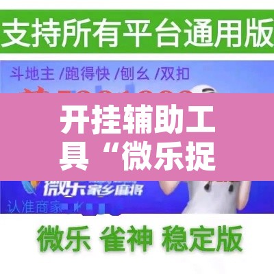 开挂辅助工具“微乐捉老麻子开挂神器”附辅助神器开挂脚本详细步骤