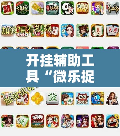 开挂辅助工具“微乐捉老麻子开挂神器”附辅助神器开挂脚本详细步骤