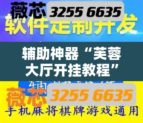 辅助神器“芙蓉大厅开挂教程	”开挂辅助脚本+详细开挂安装教程
