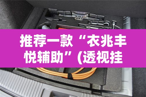 推荐一款“衣兆丰悦辅助”(透视挂)辅助透视教程