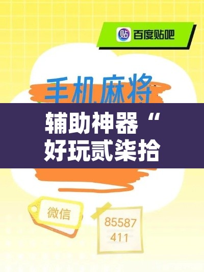 辅助神器“好玩贰柒拾辅助软件”其实确实有挂