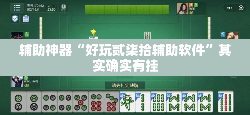 辅助神器“好玩贰柒拾辅助软件”其实确实有挂