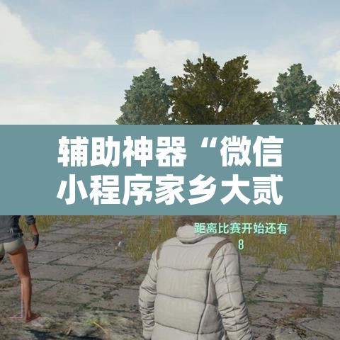 辅助神器“微信小程序家乡大贰透视”附辅助神器开挂脚本详细步骤