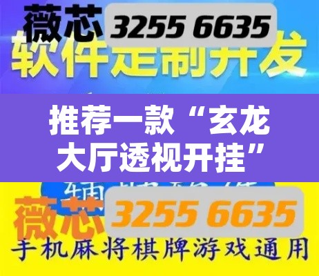 推荐一款“玄龙大厅透视开挂	”开挂辅助脚本+详细开挂安装教程