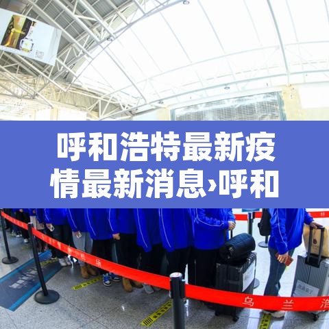 呼和浩特最新疫情最新消息›呼和浩特最新情况