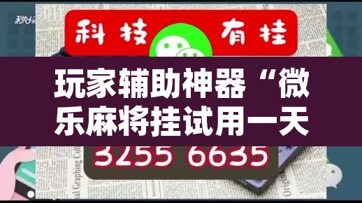 玩家辅助神器“微乐麻将挂试用一天	”附辅助神器开挂脚本详细步骤