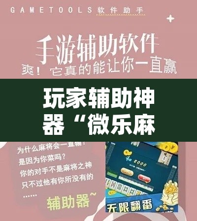 玩家辅助神器“微乐麻将挂试用一天”附辅助神器开挂脚本详细步骤