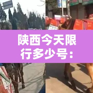 陕西今天限行多少号：陕西今天限号的尾号是