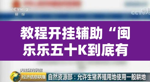 教程开挂辅助“闽乐乐五十K到底有没有挂	”(透视)其实确实有挂